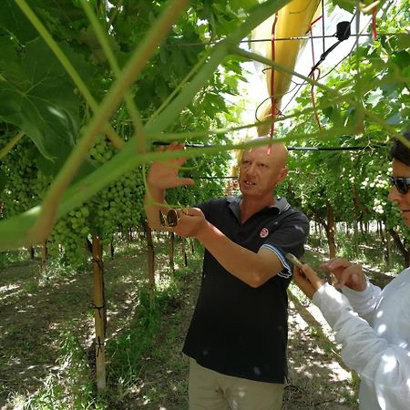 Masseria Marico 카스텔라네타 외부 사진