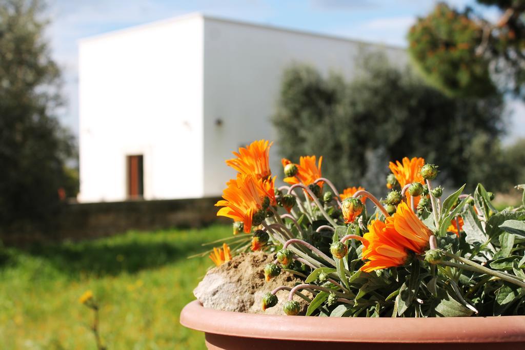 Masseria Marico 카스텔라네타 객실 사진