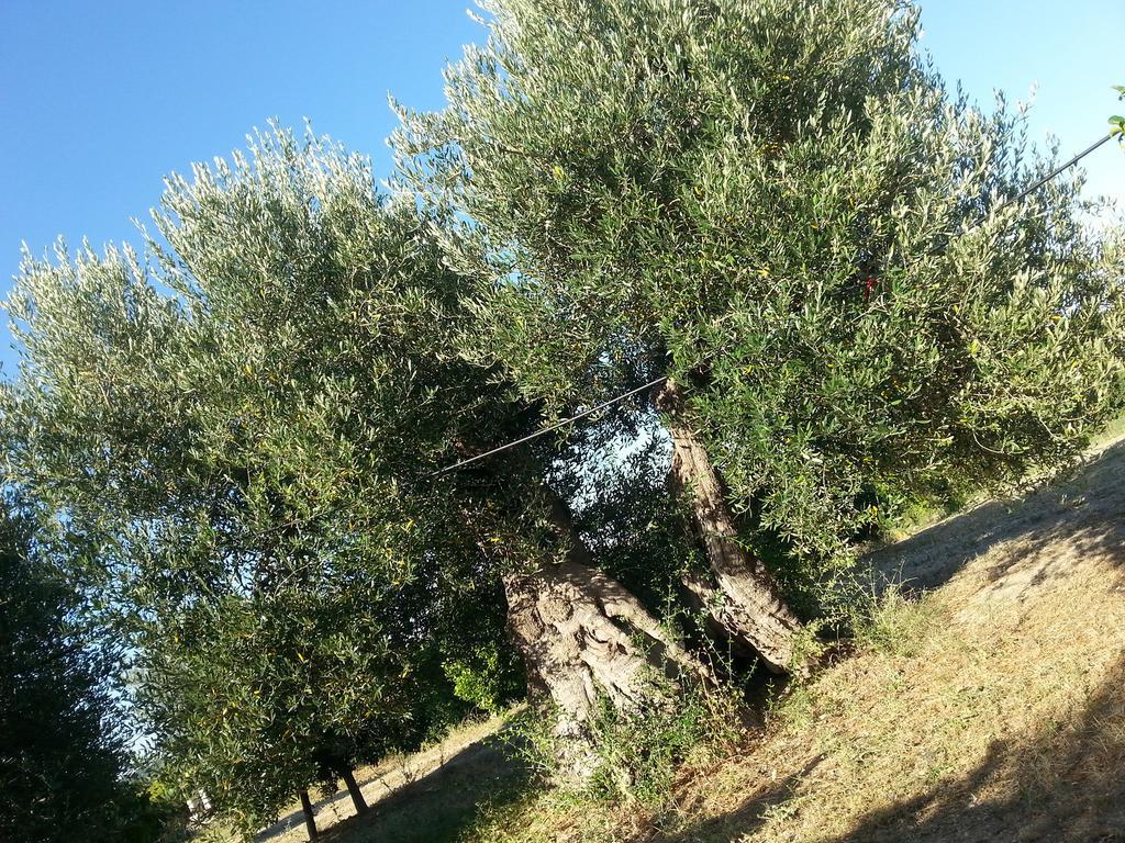 Masseria Marico 카스텔라네타 외부 사진