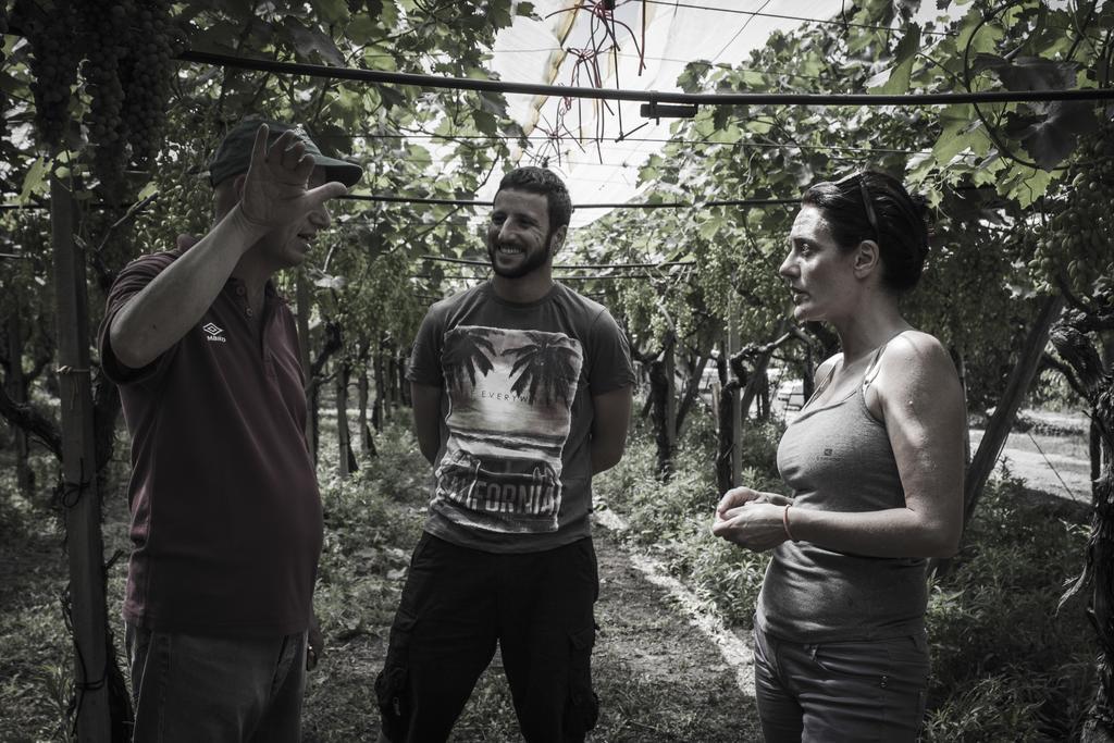 Masseria Marico 카스텔라네타 외부 사진