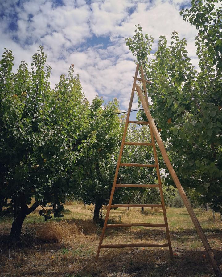 Masseria Marico 카스텔라네타 외부 사진