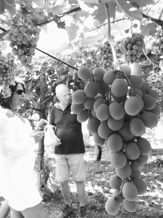 Masseria Marico 카스텔라네타 외부 사진