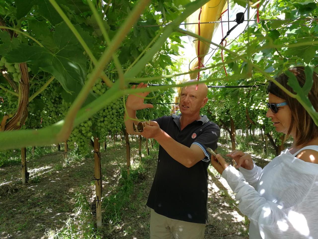 Masseria Marico 카스텔라네타 외부 사진